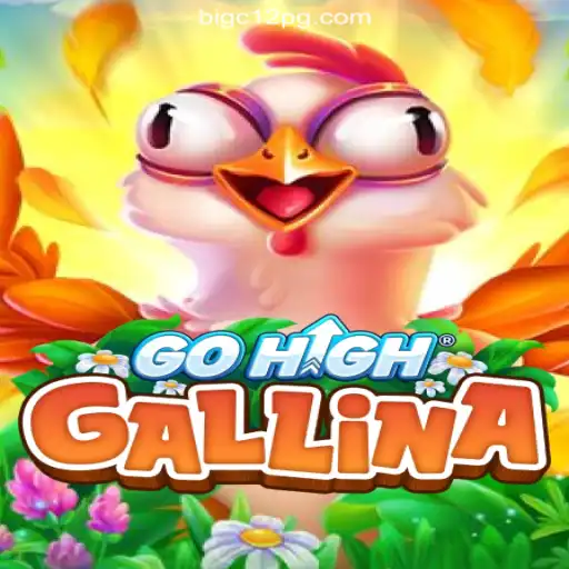 Exploring GoHighGallina: Thrilling Online Slots Experience on BIGC12.com